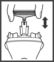 Image described in step 1 and 2